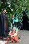 Thumbs/tn_Vrijdag Castlefest 2015 184.jpg